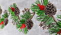 Christmas Machine Embroidery Design Cones