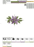 Clematis Flower - 4 sizes