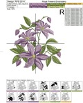Clematis Machine Embroidery Design - 4 sizes