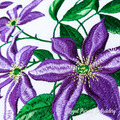 Clematis Machine Embroidery Design - 4 sizes