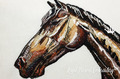 Colorful Horse portrait Machine Embroidery Design - 5 sizes