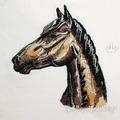 Colorful Horse portrait Machine Embroidery Design - 5 sizes