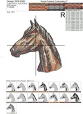 Colorful Horse portrait Machine Embroidery Design - 5 sizes
