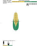 Corn Cobs Primitive Machine Embroidery Designs - 3 sizes
