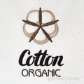 Cotton Organic plant - 2 sizes
