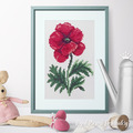 Cross-stitch Red poppy