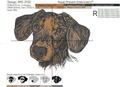 Dachshund dog - 4 sizes