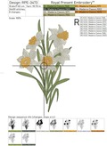 Daffodils bouquet - 5 sizes