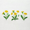 Dandelions Machine Embroidery Designs - 5 sizes