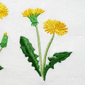 Dandelions Machine Embroidery Designs - 5 sizes