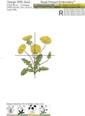 Dandelions Machine Embroidery Designs - 5 sizes