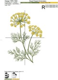 Dill Sprigs set - 3 in 1