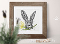 Easter Bunny Digital Embroidery Design - 5 sizes