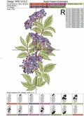 Elderberry border Machine Embroidery Design - 2 sizes