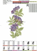 Elderberry border Machine Embroidery Design - 2 sizes