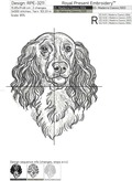 English Cocker Spaniel Sketch - 5 sizes