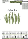 English Pea pods machine embroidery design - 4 sizes