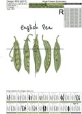 English Pea pods machine embroidery design - 4 sizes
