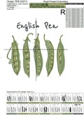 English Pea pods machine embroidery design - 4 sizes