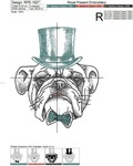English bulldog Gentleman - 3 sizes