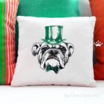 English bulldog Gentleman - 3 sizes
