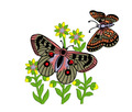 FREE Machine Embroidery Design Butterflies