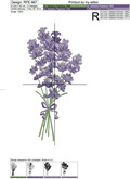 Fragrant lavender in 4 sizes