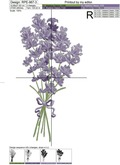 Fragrant lavender in 4 sizes