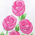 Amazing roses Free