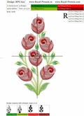 Amazing roses Free