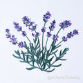 French Lavender - 4 sizes
