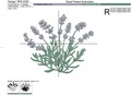 French Lavender - 4 sizes