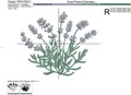 French Lavender - 4 sizes