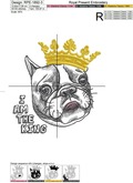 French bulldog King - 4 sizes