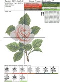 Garden Rose Cross-stitch Machine Embroidery Design - 3 sizes