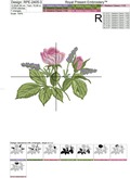 Garden Rose and Lavender  - 3 sizes