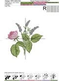 Garden Rose and Lavender Set - 5 in 1