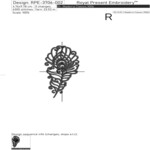 Peacock Feathers Set - 3 sizes