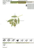 Green Olives Machine Embroidery Design - 2 sizes