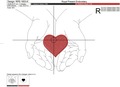 Heart in hands - 6 sizes