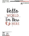 Hello World I'm New Here Inscriptions - 2 sizes