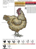 Hen for Mega Hoop Machine Embroidery Design - 3 sizes