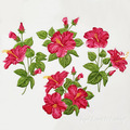 Hibiscuses Set of Machine Embroidery Designs - 2 sizes