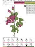Hibiscuses Set of Machine Embroidery Designs - 2 sizes