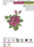 Hibiscuses Set of Machine Embroidery Designs - 2 sizes