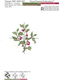 Holly twig with berries - 4 sizes