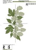 Hops borders set - 2 sizes
