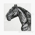 Horse portrait Machine Embroidery Design - 3 sizes