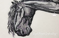 Horse portrait Machine Embroidery Design - 3 sizes
