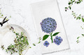 Hydrangea Design for Embroidery Machines - 2 sizes